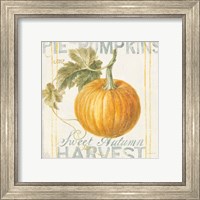 Framed 'Floursack Autumn VI' border=