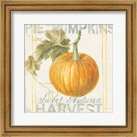 Framed 'Floursack Autumn VI' border=