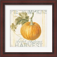 Framed 'Floursack Autumn VI' border=