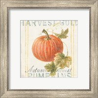 Framed 'Floursack Autumn VIII' border=