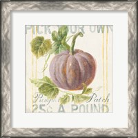 Framed 'Floursack Autumn VII' border=