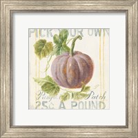 Framed 'Floursack Autumn VII' border=