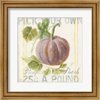 Framed 'Floursack Autumn VII' border=