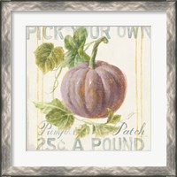 Framed 'Floursack Autumn VII' border=