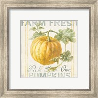 Framed 'Floursack Autumn V' border=