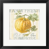 Framed 'Floursack Autumn V' border=