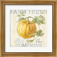 Framed 'Floursack Autumn V' border=