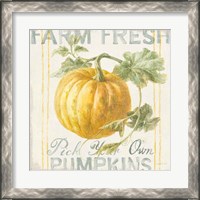 Framed 'Floursack Autumn V' border=