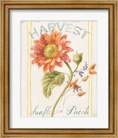 Framed 'Floursack Autumn II' border=