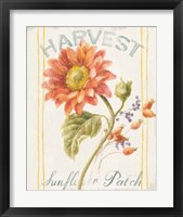 Framed 'Floursack Autumn II' border=