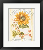 Framed 'Floursack Autumn I' border=