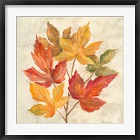 November Leaves IV Framed Print