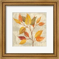 Framed 'November Leaves II' border=