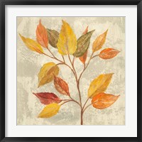 November Leaves II Framed Print