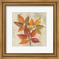 Framed 'November Leaves I' border=