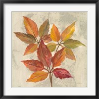 Framed November Leaves I