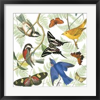 Natures Flight II Framed Print