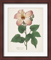 Framed 'Antique Botanical XXVII Cream' border=