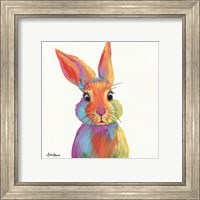 Framed 'Cheery Bunny' border=