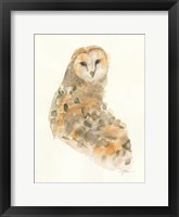 Framed Barn Owl