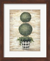 Framed Gingham Topiary Spheres