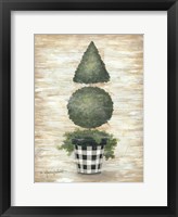 Gingham Topiary Cone Framed Print