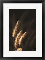 Golden Grass III Framed Print