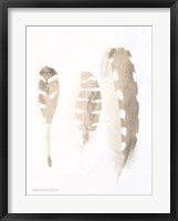 Framed Neutral Feathers Study