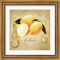 Framed 'Vintage Lemons Citron' border=