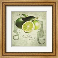 Framed 'Vintage Limes Citron' border=