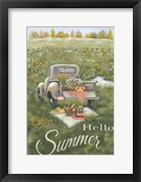 Framed Hello Summer