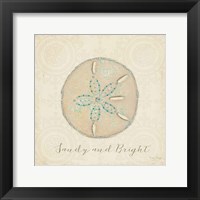 Framed 'Beach Treasures IV Christmas' border=