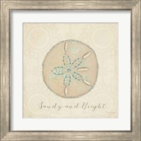 Framed 'Beach Treasures IV Christmas' border=