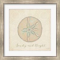 Framed 'Beach Treasures IV Christmas' border=