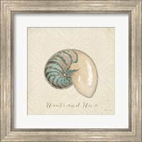 Framed 'Beach Treasures III Christmas' border=