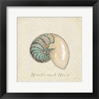 Framed 'Beach Treasures III Christmas' border=