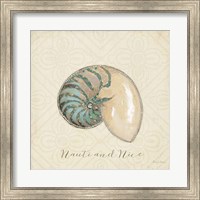 Framed 'Beach Treasures III Christmas' border=