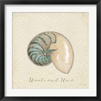 Framed 'Beach Treasures III Christmas' border=