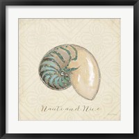 Framed 'Beach Treasures III Christmas' border=