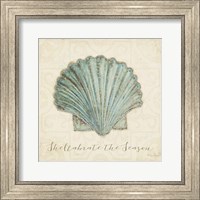 Framed 'Beach Treasures I Christmas' border=