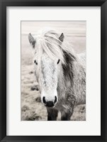 Framed Heida II BW