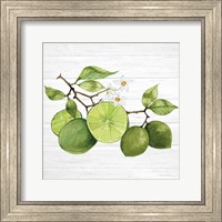 Framed 'Citrus Garden VII Shiplap' border=