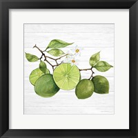 Citrus Garden VII Shiplap Framed Print