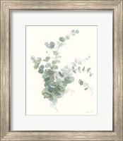 Framed Scented Sprig II Cool