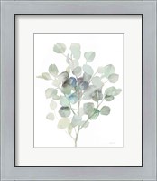 Framed 'Eucalyptus III Cool' border=