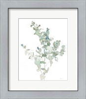 Framed 'Eucalyptus II Cool' border=