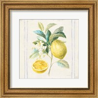 Framed 'Floursack Lemons IV Sq Navy' border=