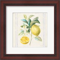 Framed 'Floursack Lemons IV Sq Navy' border=