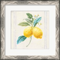 Framed 'Floursack Lemons III Sq Navy' border=