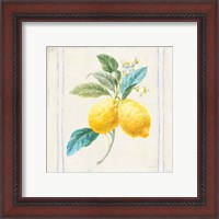 Framed 'Floursack Lemons III Sq Navy' border=